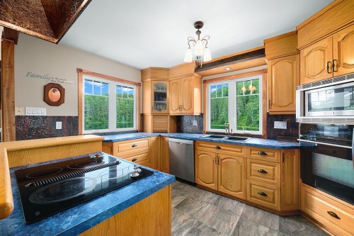 Kitchen - 41 Ch. Maccreadie, Otter Lake, QC - Indoor Photo Showing Kitchen With Double Sink