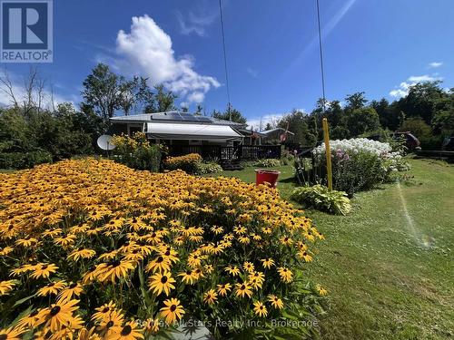 2 ALEXANDER AVENUE  Kawartha Lakes (Fenelon), ON K0M 1L0