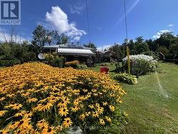 2 ALEXANDER AVENUE Kawartha Lakes (Fenelon), ON K0M 1L0