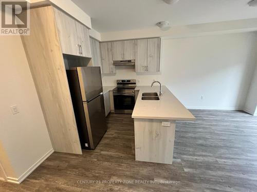 20 CLEVELAND COMMON , Cambridge, Ontario N1T 0H4 2