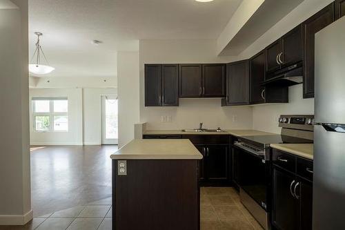 403-40 Shore St, Winnipeg, MB - Indoor Photo Showing Kitchen With Double Sink