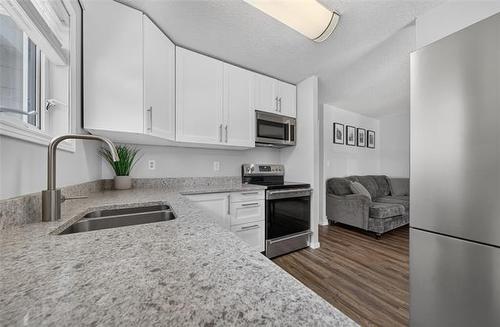 110 Laurent Dr, Winnipeg, MB - Indoor Photo Showing Kitchen With Double Sink With Upgraded Kitchen