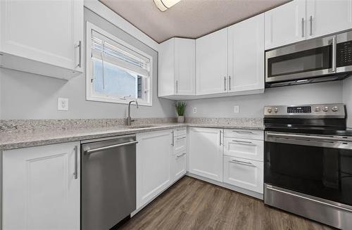 110 Laurent Dr, Winnipeg, MB - Indoor Photo Showing Kitchen