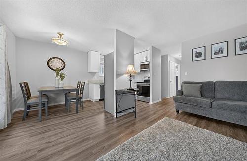 110 Laurent Dr, Winnipeg, MB - Indoor Photo Showing Living Room