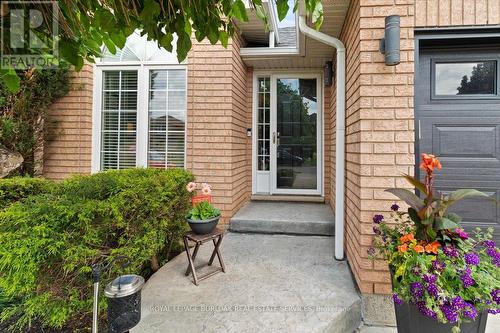 40 Bridgette Drive, Hamilton, ON - Outdoor