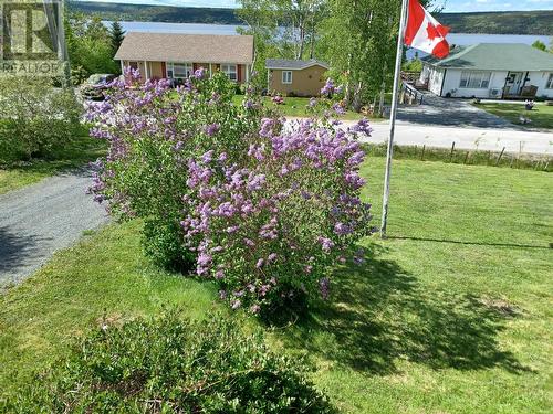 124 Riverside Road E, Glovertown, NL - Outdoor