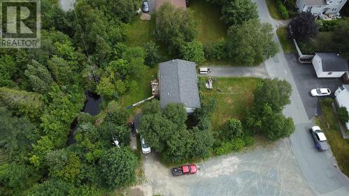 39 Kelliview Crescent, Conception Bay South, NL - Outdoor With View