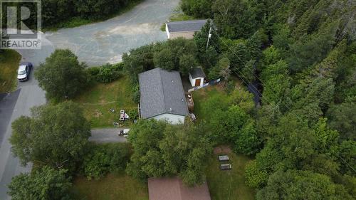 39 Kelliview Crescent, Conception Bay South, NL - Outdoor With View