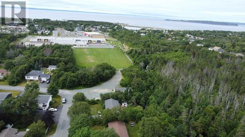 39 Kelliview Crescent, Conception Bay South, NL - Outdoor With View