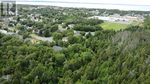 39 Kelliview Crescent, Conception Bay South, NL - Outdoor With View