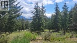 343 Cross Road S Cranbrook, BC V1C 6W6