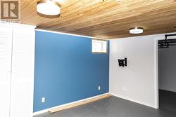 Basement Rec Room - 