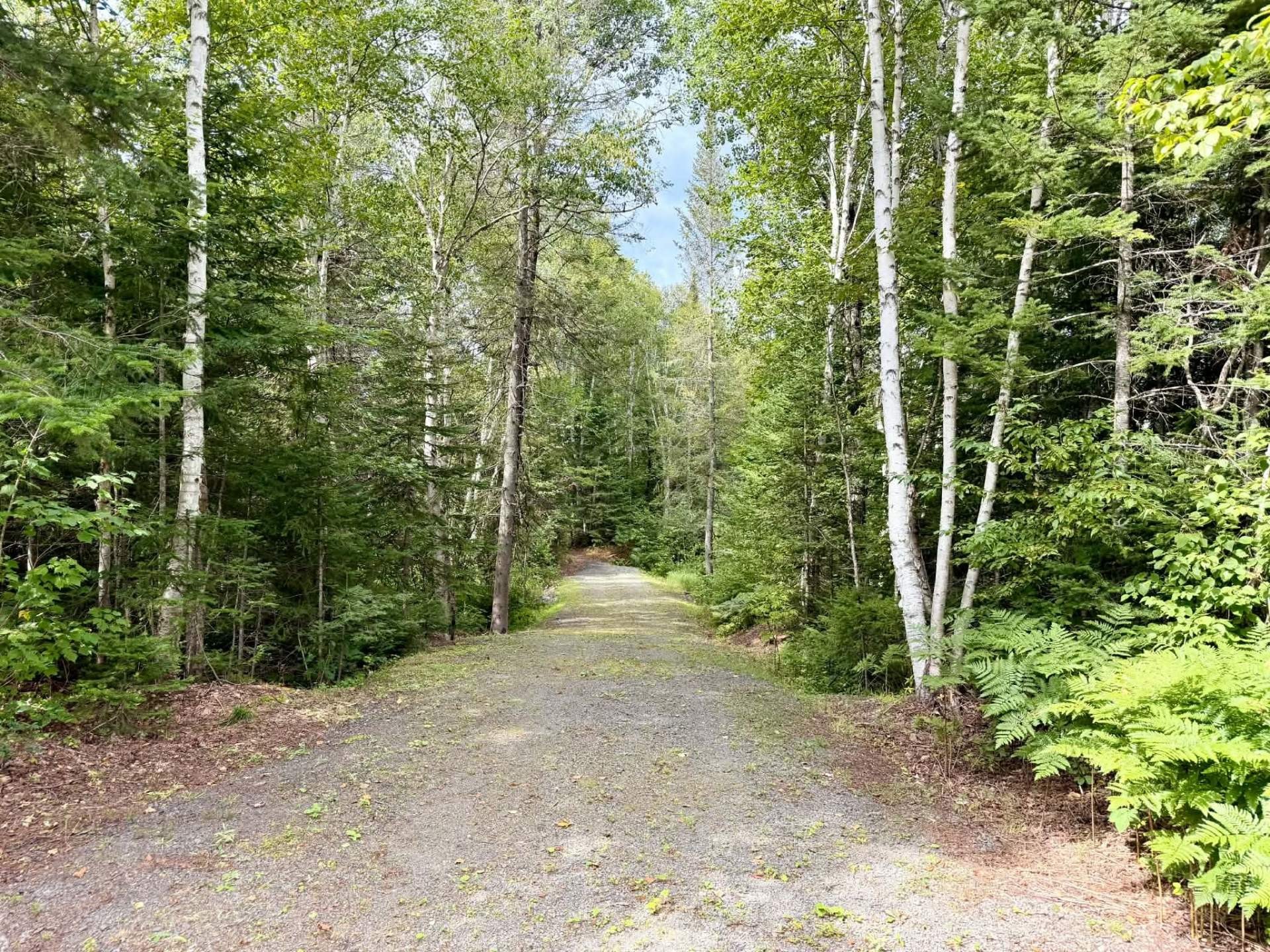 Ch Du Lac Des Aulnes — photo 1