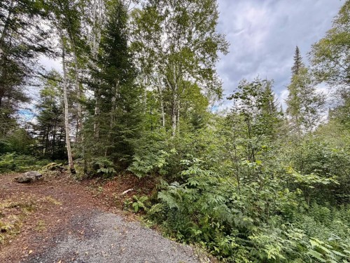 Terre/Terrain - Ch. Du Lac-Des-Aulnes, Saint-Donat, QC 