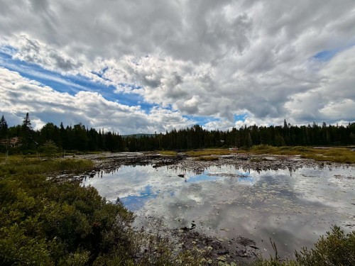 Vue sur l'eau - Ch. Du Lac-Des-Aulnes, Saint-Donat, QC 