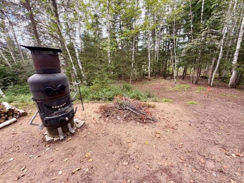 Terre/Terrain - Ch. Du Lac-Des-Aulnes, Saint-Donat, QC 