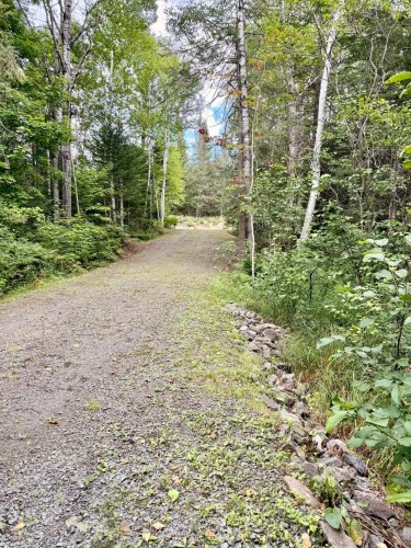 Ch Du Lac Des Aulnes — photo 3