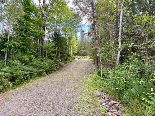 Terre/Terrain - Ch. Du Lac-Des-Aulnes, Saint-Donat, QC 