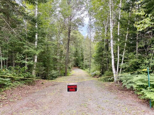Terre/Terrain - Ch. Du Lac-Des-Aulnes, Saint-Donat, QC 