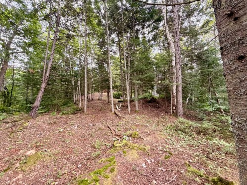 Terre/Terrain - Ch. Du Lac-Des-Aulnes, Saint-Donat, QC 