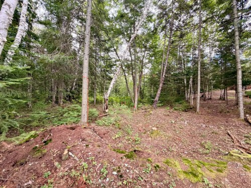 Terre/Terrain - Ch. Du Lac-Des-Aulnes, Saint-Donat, QC 