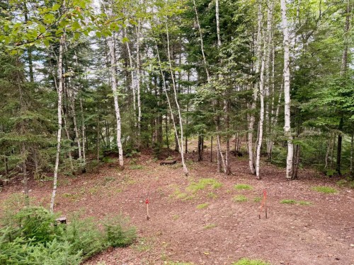 Terre/Terrain - Ch. Du Lac-Des-Aulnes, Saint-Donat, QC 