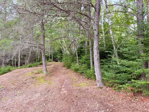 Terre/Terrain - Ch. Du Lac-Des-Aulnes, Saint-Donat, QC 