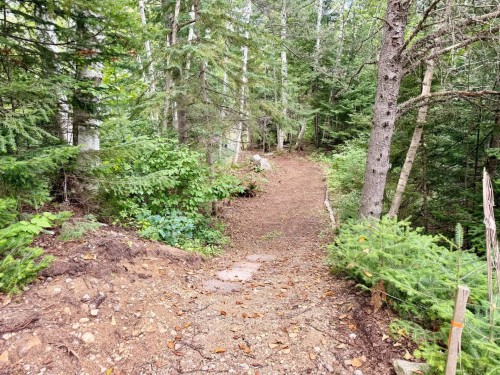 Terre/Terrain - Ch. Du Lac-Des-Aulnes, Saint-Donat, QC 