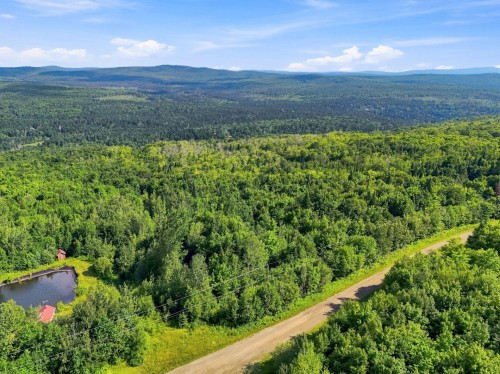 Vue d'ensemble - 61 Ch. Du Soleil E., Notre-Dame-Des-Bois, QC 