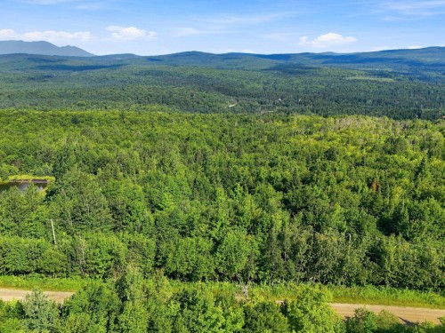 Vue d'ensemble - 61 Ch. Du Soleil E., Notre-Dame-Des-Bois, QC 