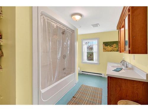 9 Bareneed Road, Bareneed, NL - Indoor Photo Showing Bathroom
