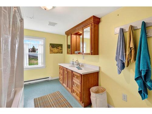 9 Bareneed Road, Bareneed, NL - Indoor Photo Showing Bathroom