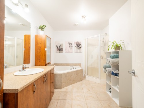 Salle de bains - 213 Rue Benjamin, Saint-Amable, QC - Indoor Photo Showing Bathroom