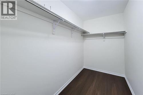Walk-in closet with ample storage space, shelving, and wood-finish flooring - 11 Esther Crescent, Thorold, ON - Indoor With Storage