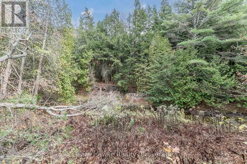20 Scott Lane, Tiny, ON - Outdoor