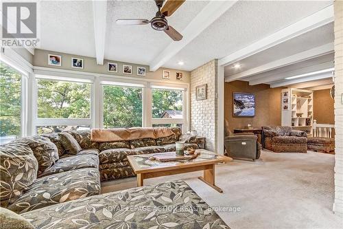 19 Oakley Road, Brantford, ON - Indoor Photo Showing Living Room