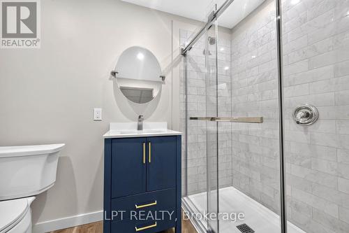 43 Liam Drive, Hamilton, ON - Indoor Photo Showing Bathroom