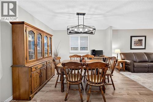 Wood-finish flooring with neutral wall paint and a contemporary geometric chandelier - 43 Liam Drive, Ancaster, ON - Indoor Photo Showing Dining Room