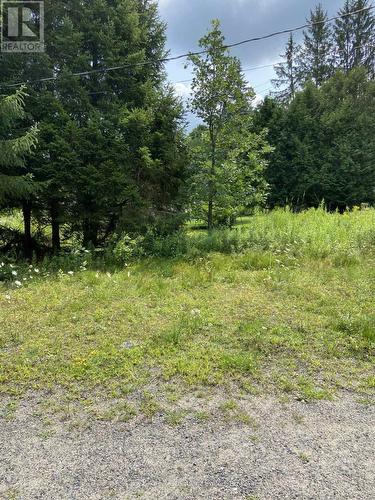 21 Ferndale Road, Muskoka Lakes (Medora), ON - Outdoor
