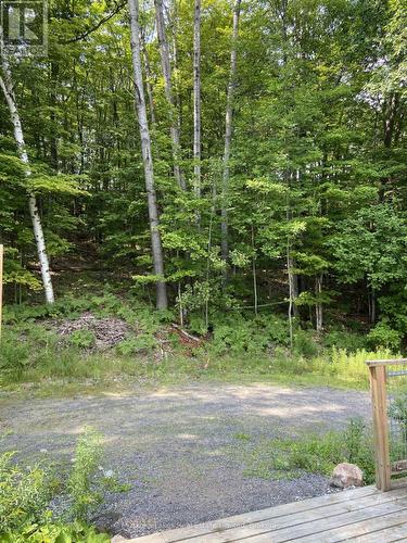 21 Ferndale Road, Muskoka Lakes (Medora), ON - Outdoor