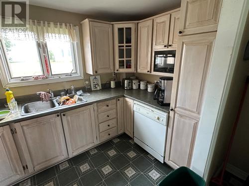 32 Marsh Road, Hants Harbour, NL - Indoor Photo Showing Kitchen With Double Sink