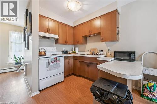 101 Secord Avenue, Kitchener, ON - Indoor Photo Showing Kitchen