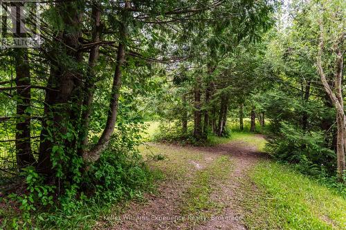 3744 Flos 4 Road W, Springwater, ON - Outdoor