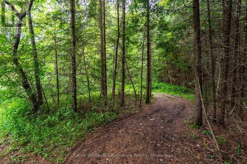 3744 Flos 4 Road W, Springwater, ON - Outdoor With View