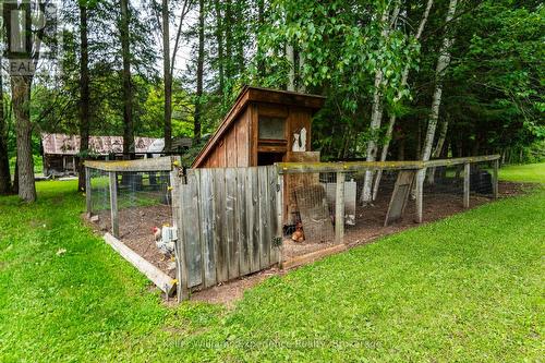 3744 Flos 4 Road W, Springwater, ON - Outdoor