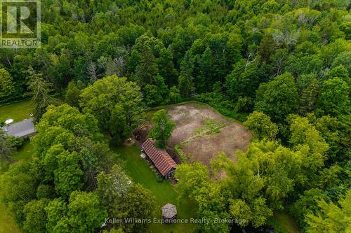 3744 Flos 4 Road W, Springwater, ON - Outdoor