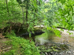 Bord de l'eau - 