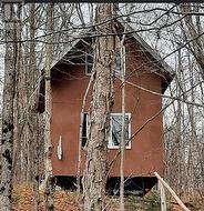 Bunkie - 
