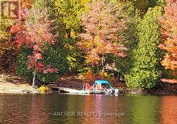 Main Dock - 