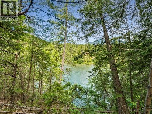2621 3A Highway, Castlegar, BC - Outdoor With Body Of Water With View